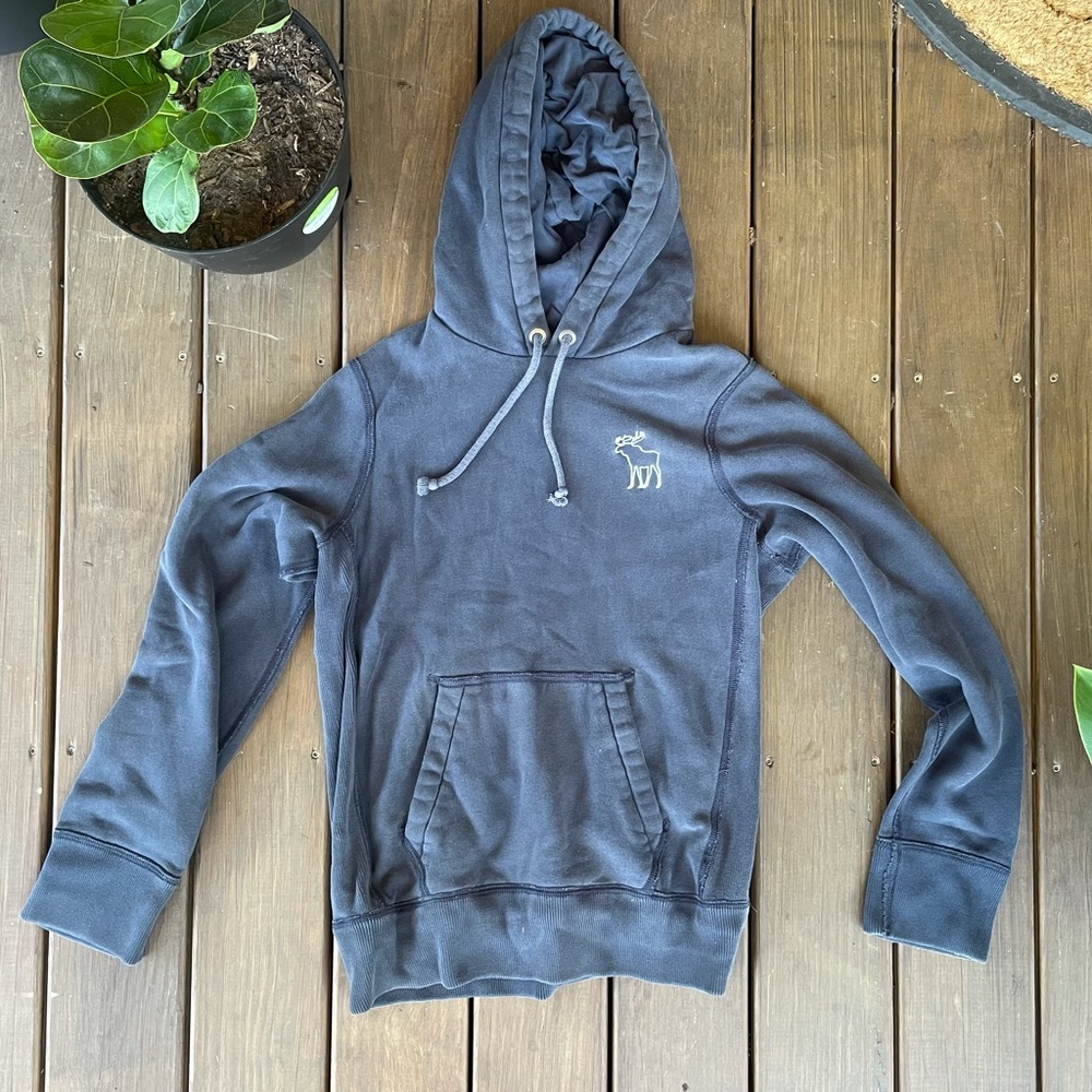Abercrombie and Fitch Hooded Sweatshirt (Men’s Size Small)